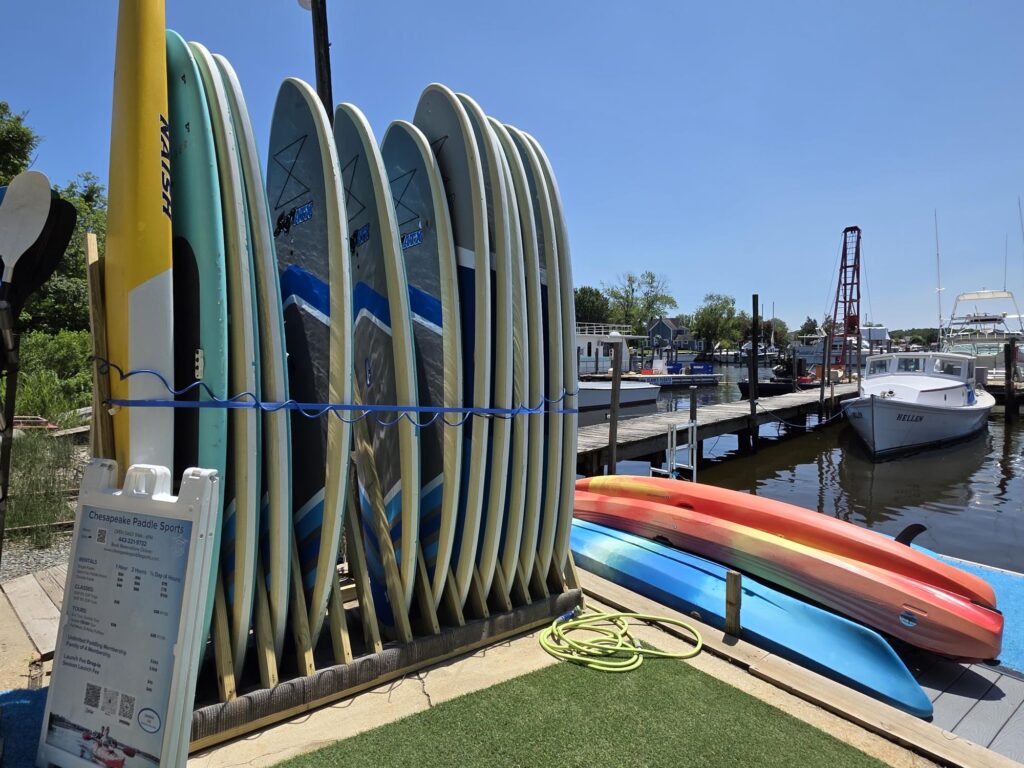 Chesapeake Paddle Sports