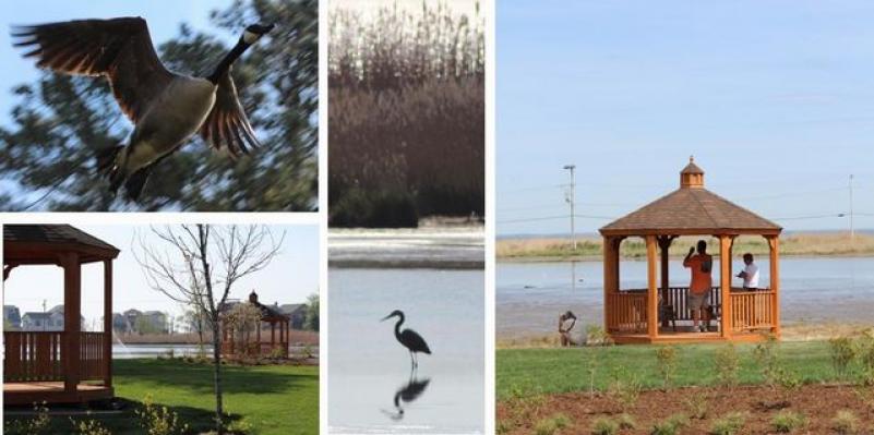 Wetlands Overlook Park