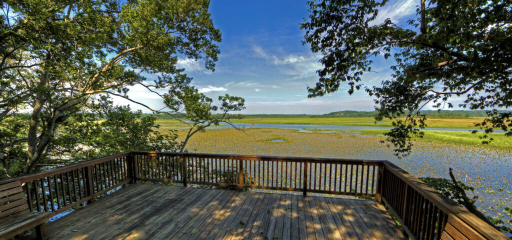 Jug Bay Wetlands Sanctuary